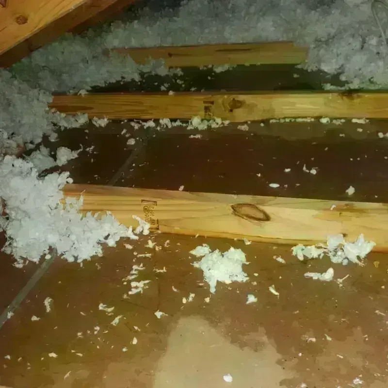 Attic Water Damage in New Castle Northwest, PA